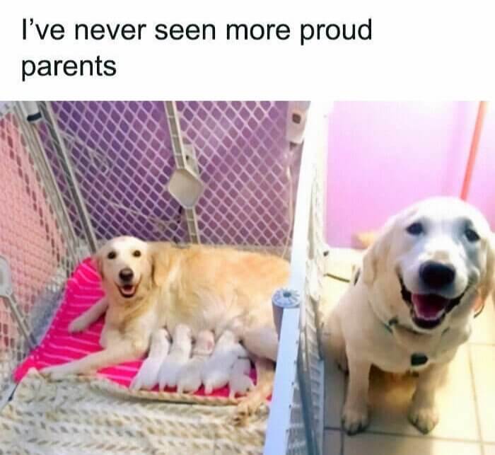 Family Goals