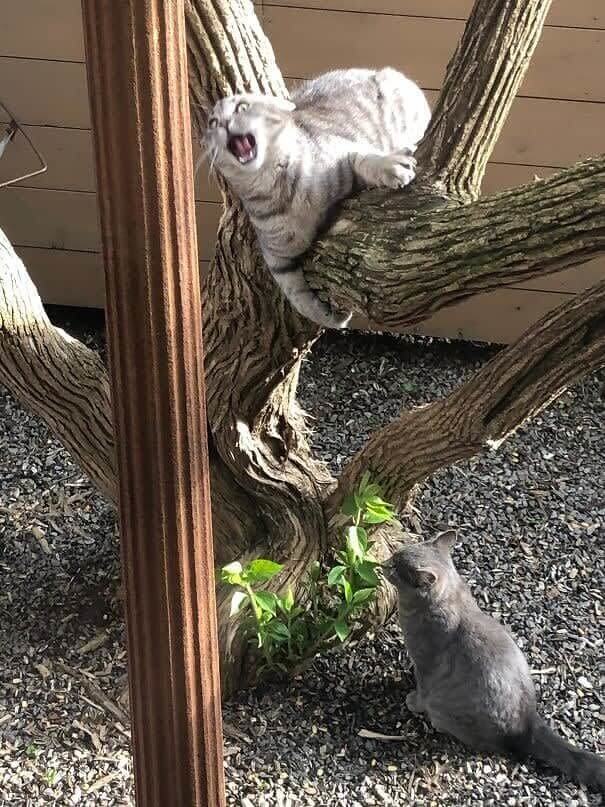Caught in a Very Fun Moment