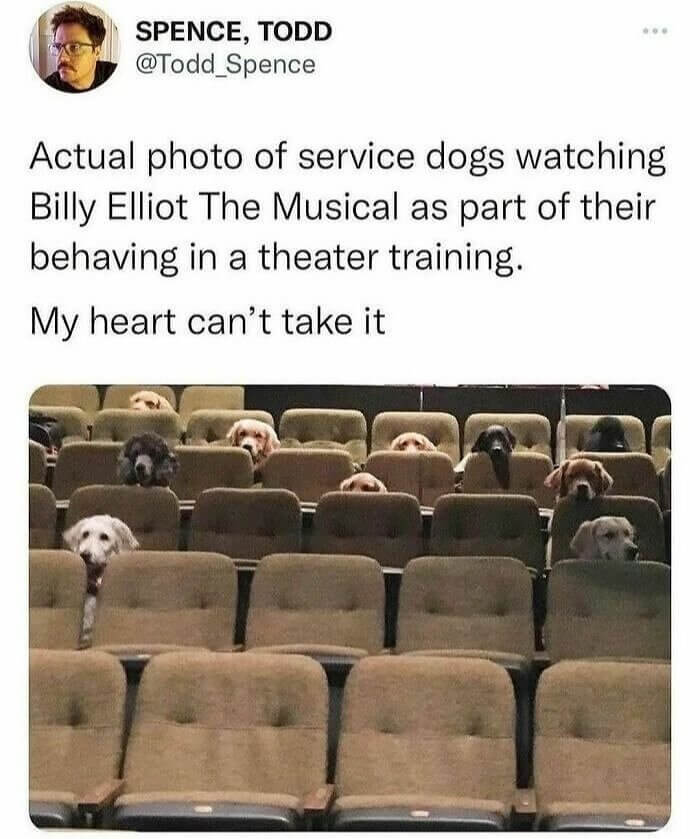 Pass the Pupcorn