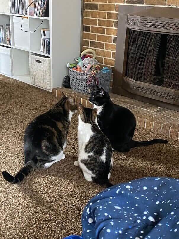 It's Secret Telling Time