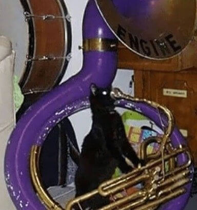 Trying His Best