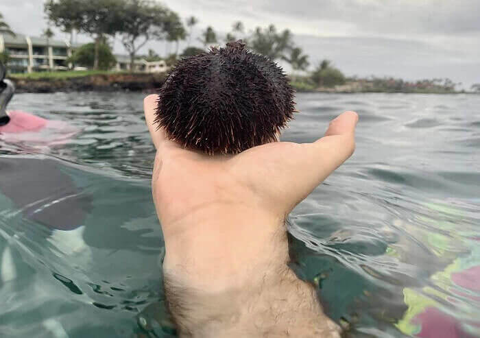 Hey Dude, We Love Your Hairdo