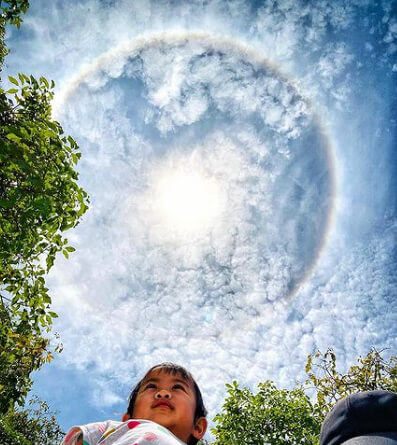 Halos in the Sky