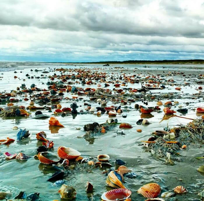 A Photo Of Low Tide After Hurricane Matthew