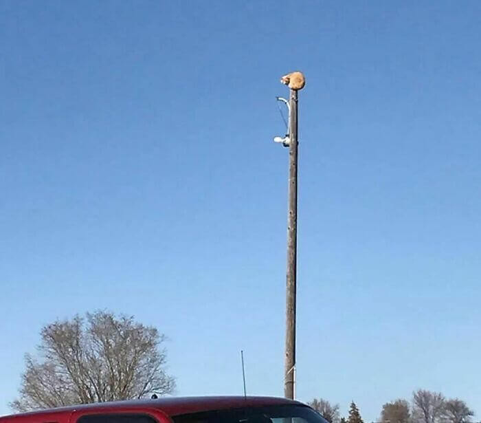 Rising Above the Peasants