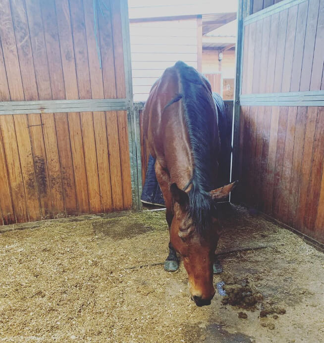 A Successful Sedation