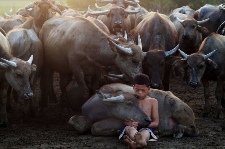 Sharing Emotion (Fascinating Faces And Characters Category: Remarkable Award)