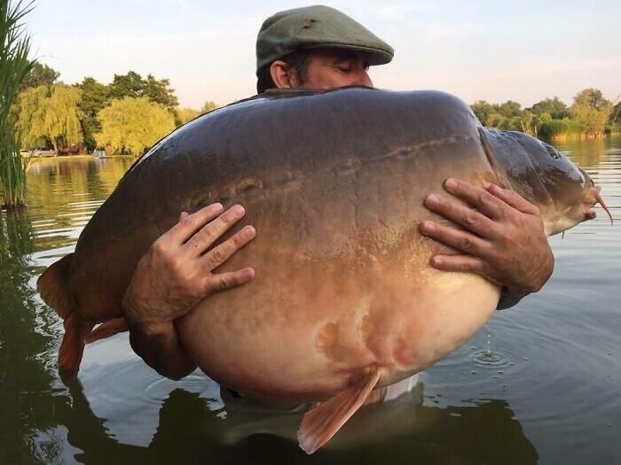 He Caught The Chunkiest Fish in the Lake