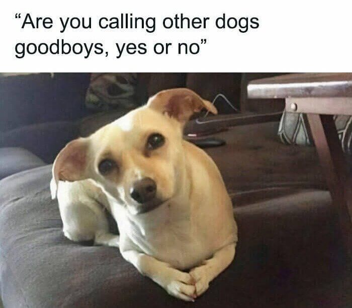 Be Honest...