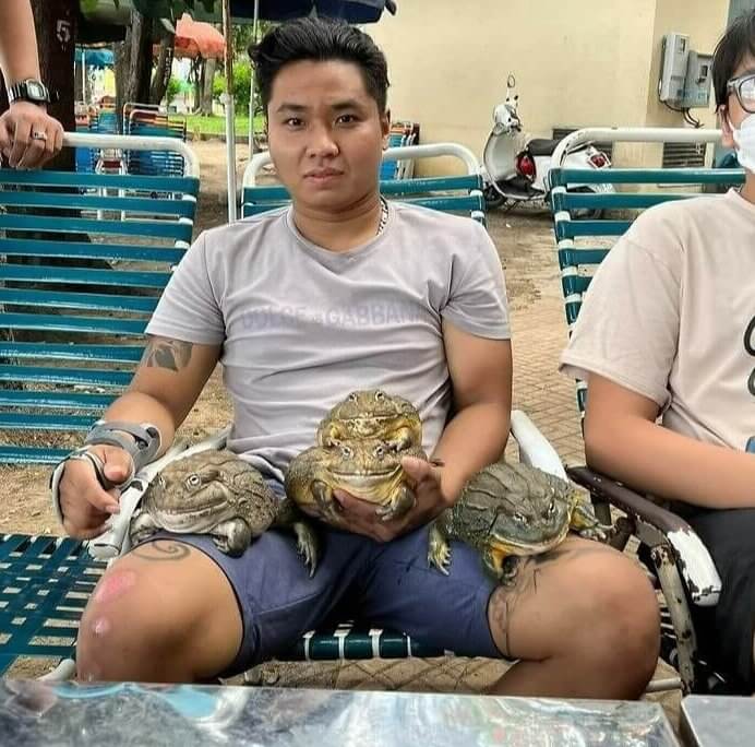 These Bullfrogs Didn't Come to Play Around