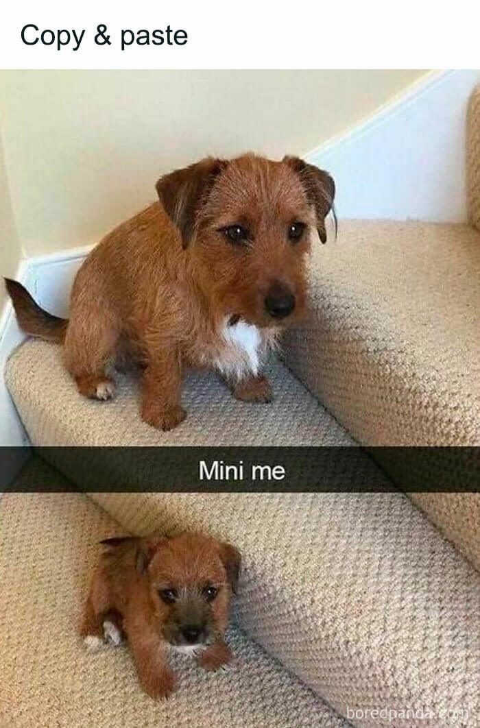 Copy and Paste