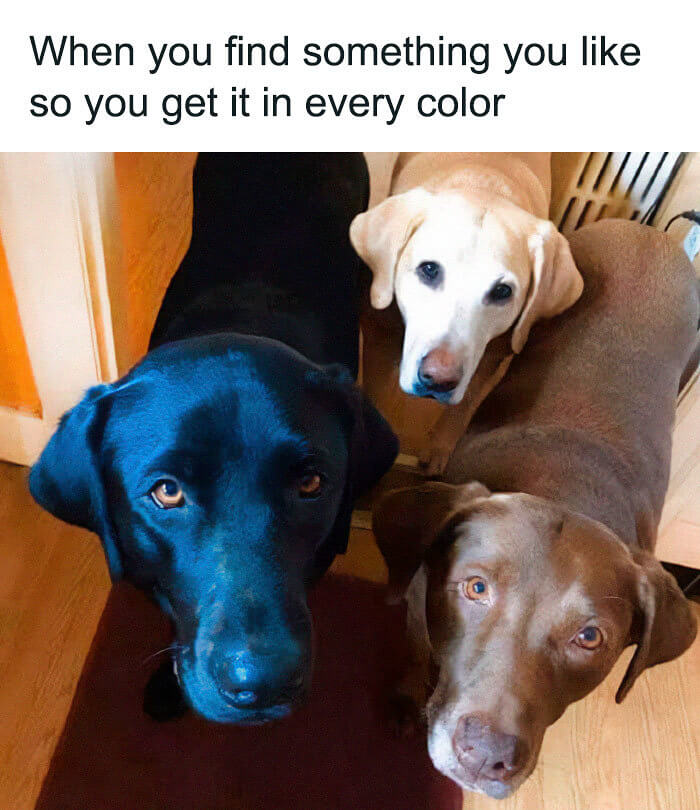The Three Amigos